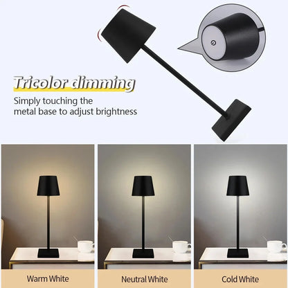 LED Desk Lamp Wireless Touch Light for Bedroom